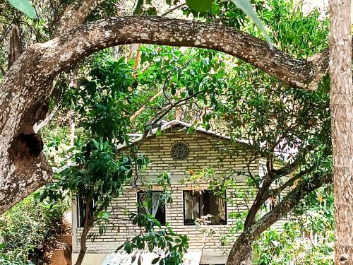 Minca Apartamento | Edén Los Abuelos 2 - Casa Privada en Minca Nature