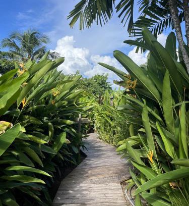 Sainte-Luce Cabina | Eden Paradise Ecolodge & Spa