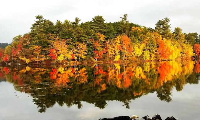 Gray Casa | Edgewater Retreat on Little Sebago Lake - Lakefront w/Sauna & EV Charger
