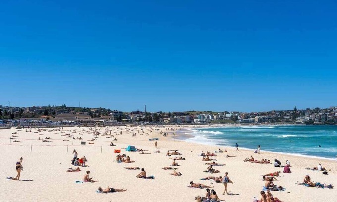Bondi Apartamento | Edward Escape - New Listing | Short Walk to Beach