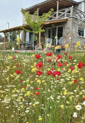 Ayvacik Casa | Egedebirnefes Assos