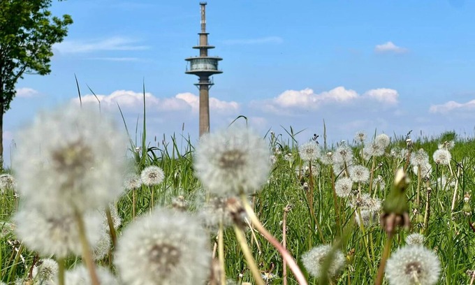 Huertgenwald Condominio | Eifel time-out - time-out is Eifel time / up to 4 people + child(ren) + four-legged friend