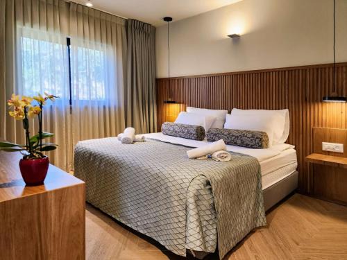 Ein Zivan Complejo | Ein Zivan Village Resort