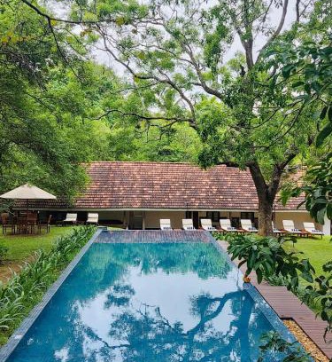 Sigiriya Hotel | EKHO Sigiriya - 700 meters to Sigiriya Rock