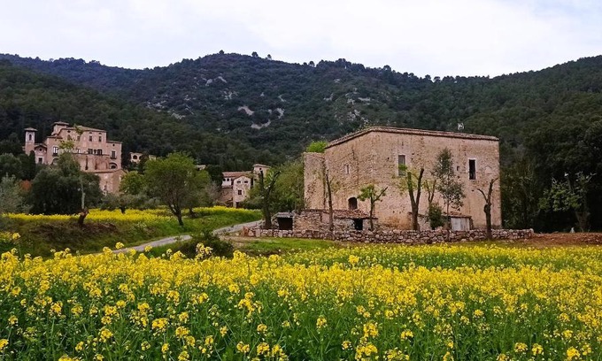 Seguero Apartamento | El Castell de Segueró