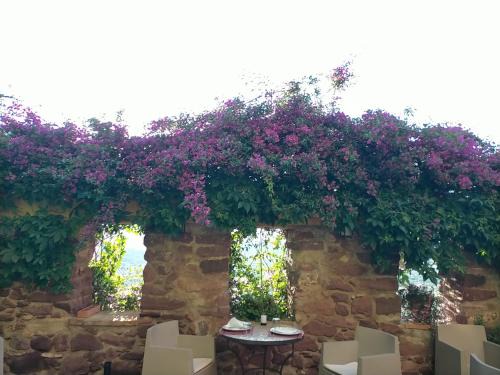 Vilafames Casa | El Jardín Vertical