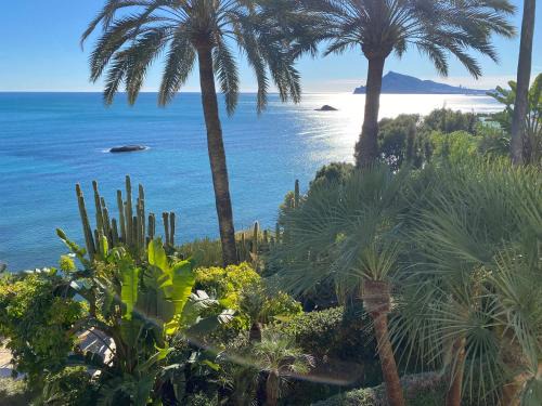 Altea la Vella Cama Y Desayuno | El jardin Botánico Villa LUZ