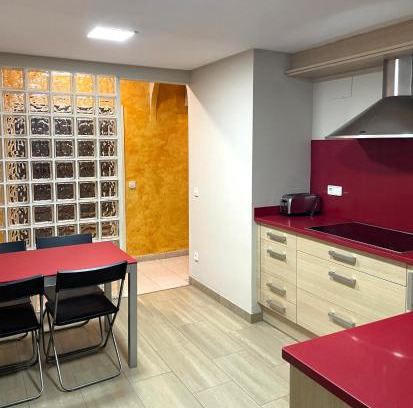 Olot Apartamento | El Pis