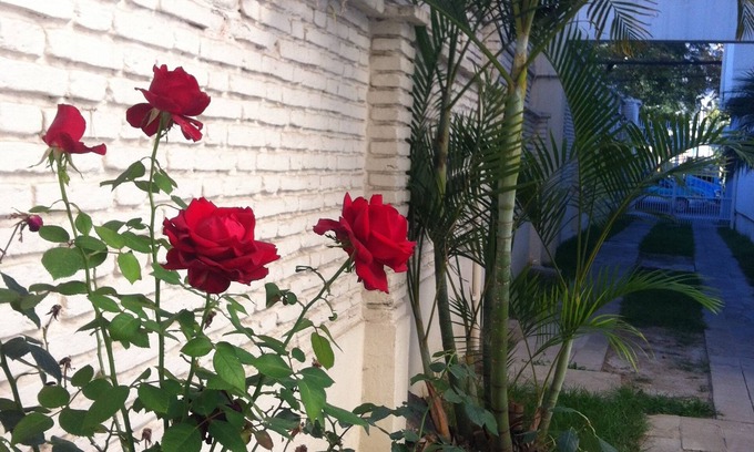 Cochabamba Hotel | El Prado Hotel
