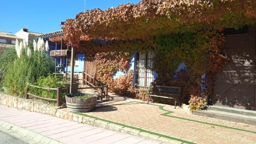 Riópar Casa | El Quinto Pino Riópar