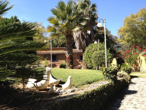 San Miguel Casa | El Refugio de las Palomas