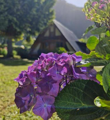 Llifen Casa | El rincon del lago