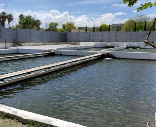 San Francisco de Conchos Casa | El salto del Río Conchos