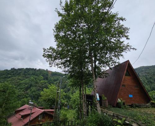 Pazar Cabina | Elagza Dag Evi