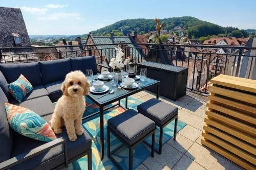 Bad Kissingen Apartamento | ELApart by Homely Stay - Moderne Apartments direkt im Stadtzentrum mit Self-Check-in