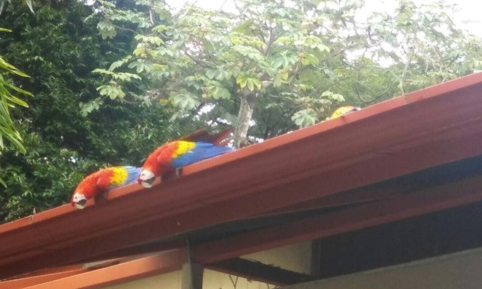 El Cerro Casa | Elegant Adults only Guesthouse