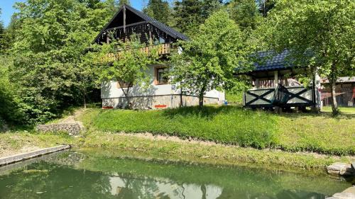 Mykulychyn Casa | Elizabeth