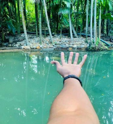 Wellawaya Hotel | Ella Nature Park Hotel