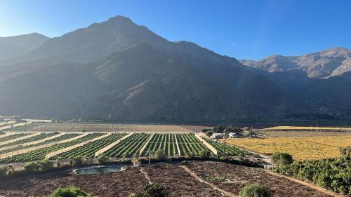El Molle Casa | Elqui Valley Avocado Farm