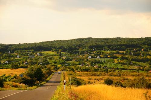 Tagyon Apartamento | Első Ház Tagyon