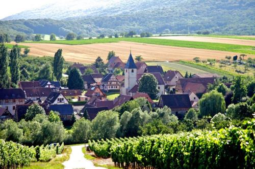 Cleebourg Apartamento | Elsasslogie im Winzerdorf
