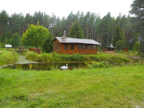 Lohusuu Otro | Elulõng Camping