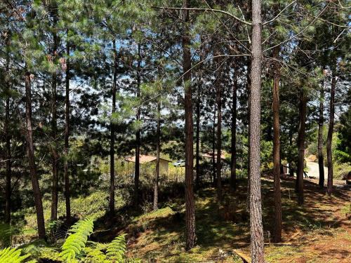 Gomez Plata Otro | eMeGé Glamping & E-Coworking