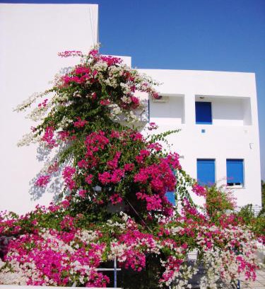 Agios Emilianos Apartamento | Emilianos Studios 103