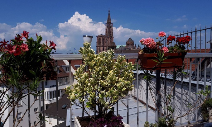 Krutenau Apartamento | emilie 145m2 ac 1 free parking 4br 2bth