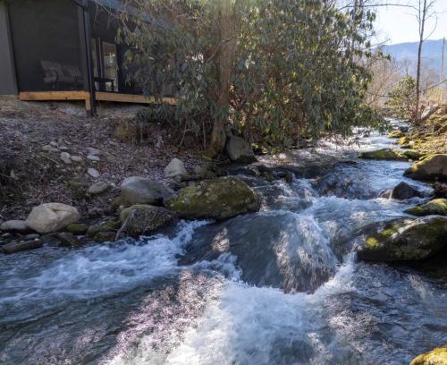 Cosby Casa | Enchanted Bungalow, Pickleball Court, Creek, WIFI, Mountain Views, Starting at 69