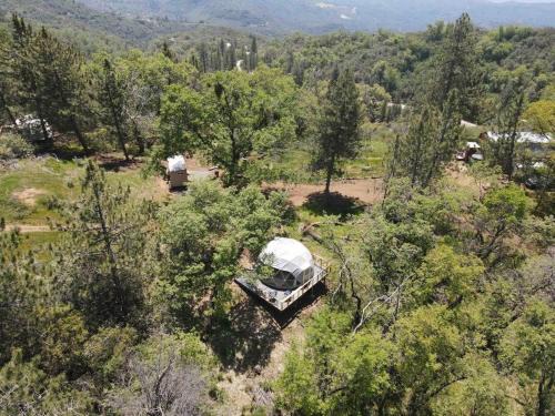 Dunlap Otro | Enchanted Forest Dome ,10-15 minutes to Kings Canyons-New pellet stove for cozy warm nights