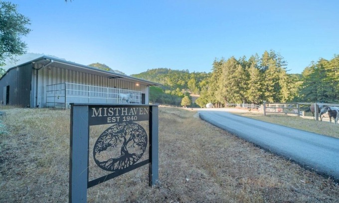 Gilroy Casa | Enchanted Redwood Retreat Nature Suite