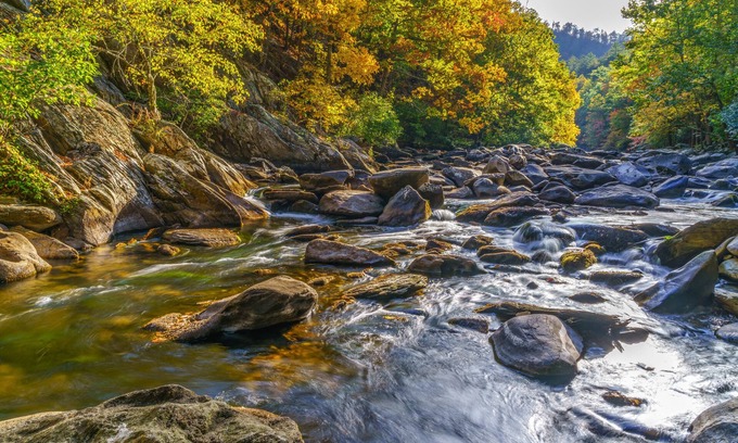 Black Bear Falls Cabina | Enchanted View Lodge