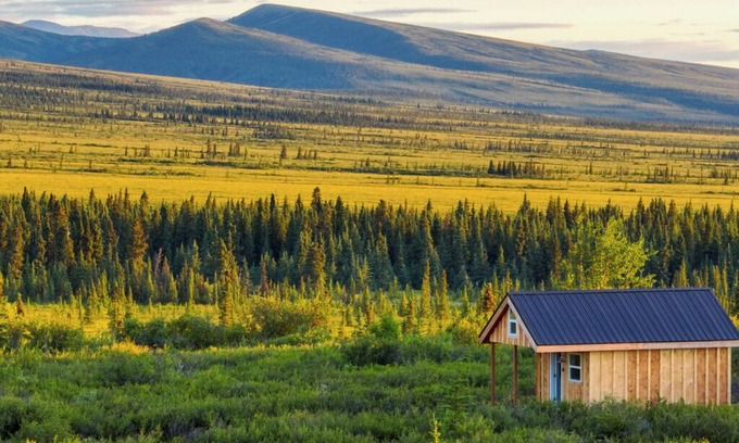 Healy Cabina | End of Stampede Dry Cabin, Near Denali