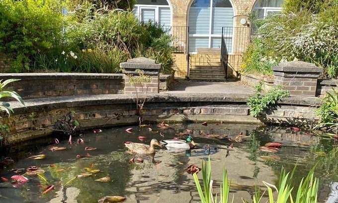 Hull Hotel | Endsleigh Park