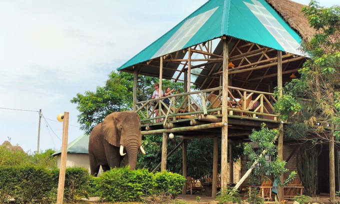 Kasese Cabina | Budget Game Lodge Inside Queen Elizabeth National Park, Uganda