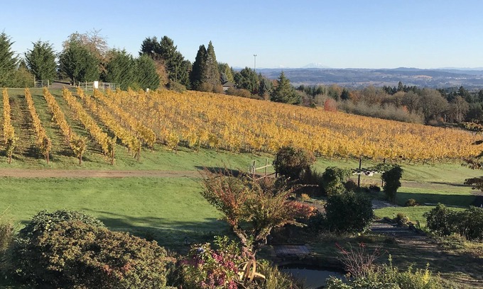 Newberg Apartamento | Enjoy a weekend in Oregon's Amazing Wine Country
