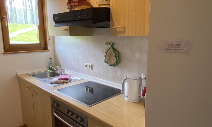 Schollach Apartamento | Enjoy a relaxing holiday in the Bärenhof's old bakery