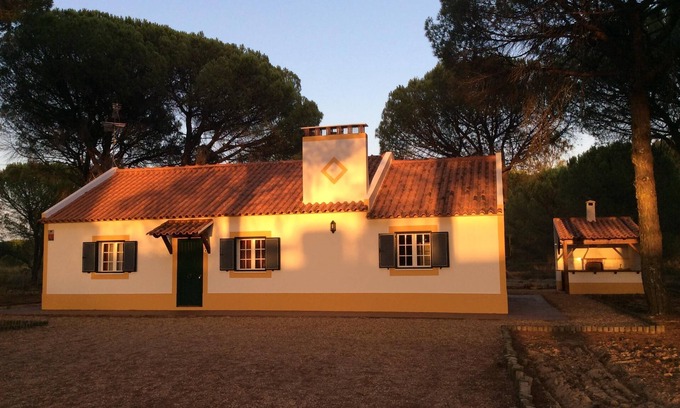Grandola Otro | Disfrutar de la belleza de la región del Alentejo. Casa situada en un bosque de pinos y cerca de las playas