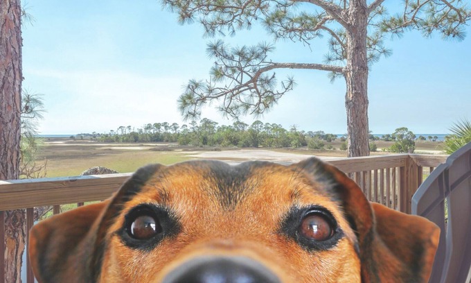 Salem Casa | Enjoy water views from our covered deck + dock, pet friendly - 1 mile to Keaton