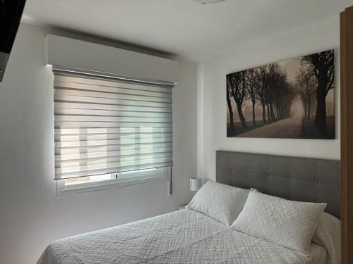 Ourense Apartamento | Ensino 22
