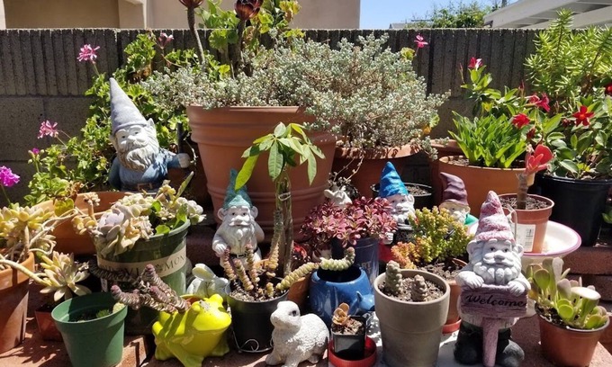 Midway City Casa | Entire Cozy Home with Enclosed Patio Near Disneyland