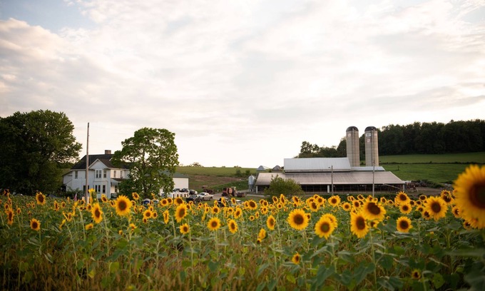 Dickerson Run Otro | Entire Farmhouse -Maple Bottom Farm Bed & Breakfast