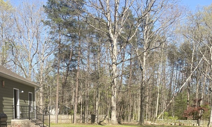Locust Grove Casa | Entire Guest Suite Sleeps 4 Near Historic Lake Anna Private Serene Wilderness