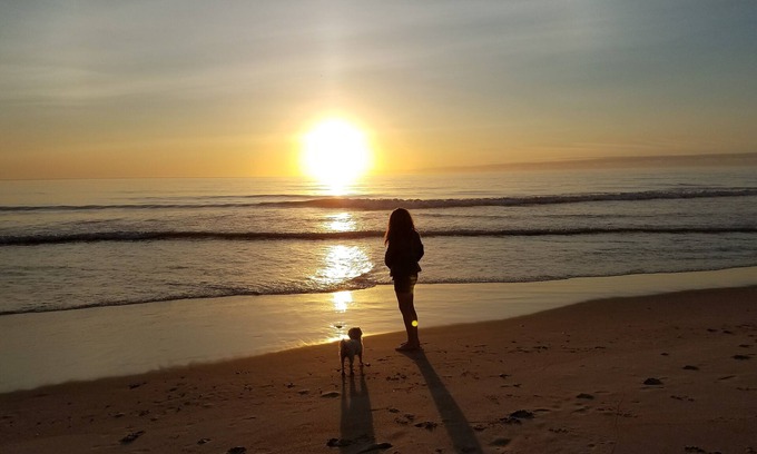 Wanchese Casa | Equine and K9 Friendly lodging in the Outer Banks, NC