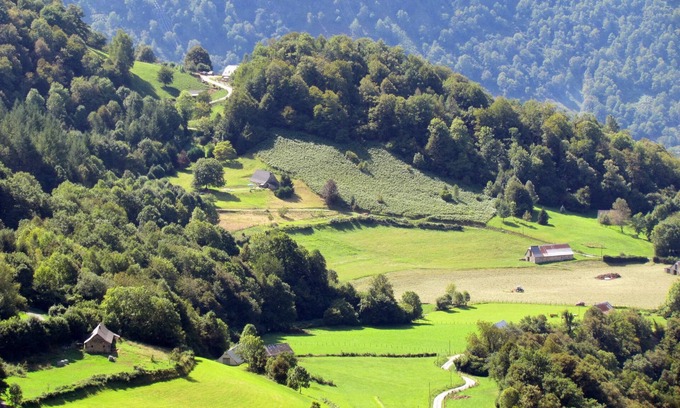 Beost Otro | Oveja en el valle de Ossau en Béost