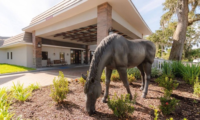 Ocala Hotel | Equus Inn - ¡El único hotel boutique de Ocala!