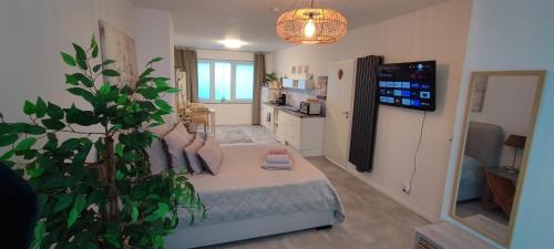 Gladbach Apartamento | Erdgeschoss Koralle im Zentrum