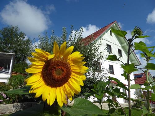 Karsee Apartamento | erholungsraum Karsee - Ferienwohnung