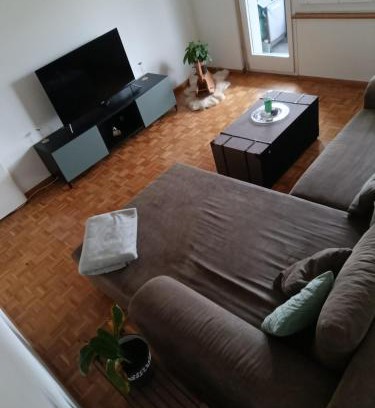 Birsfelden Apartamento | ESC Basel